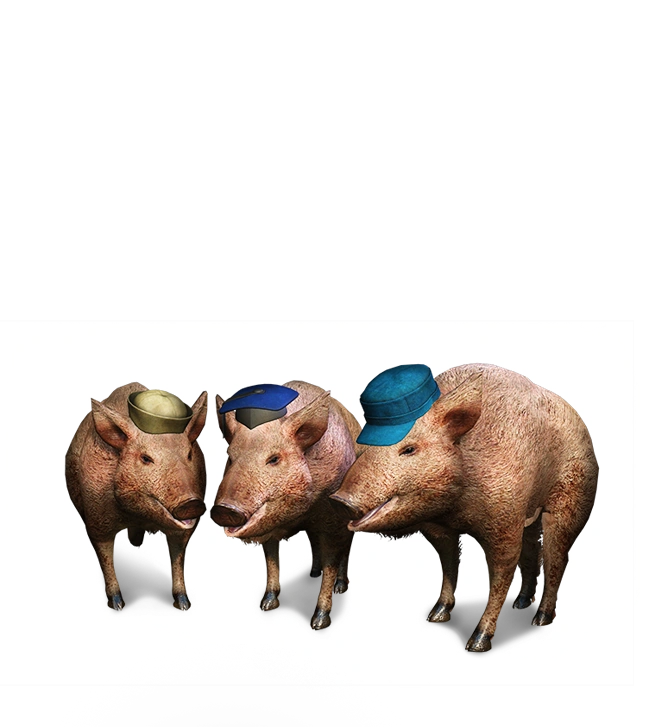 Three Little Pigs