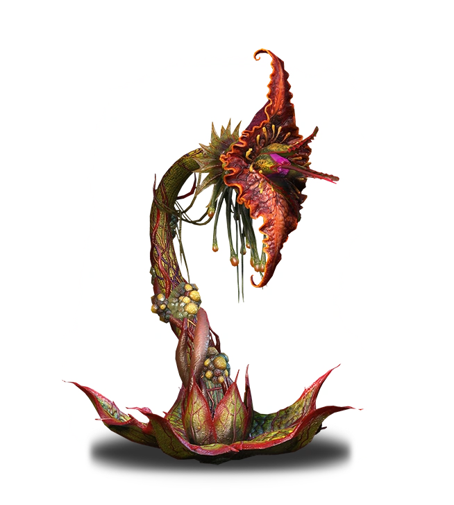 Archespore
