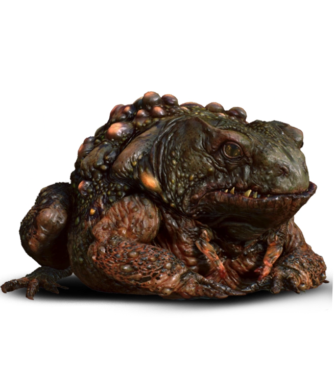 The Toad Prince