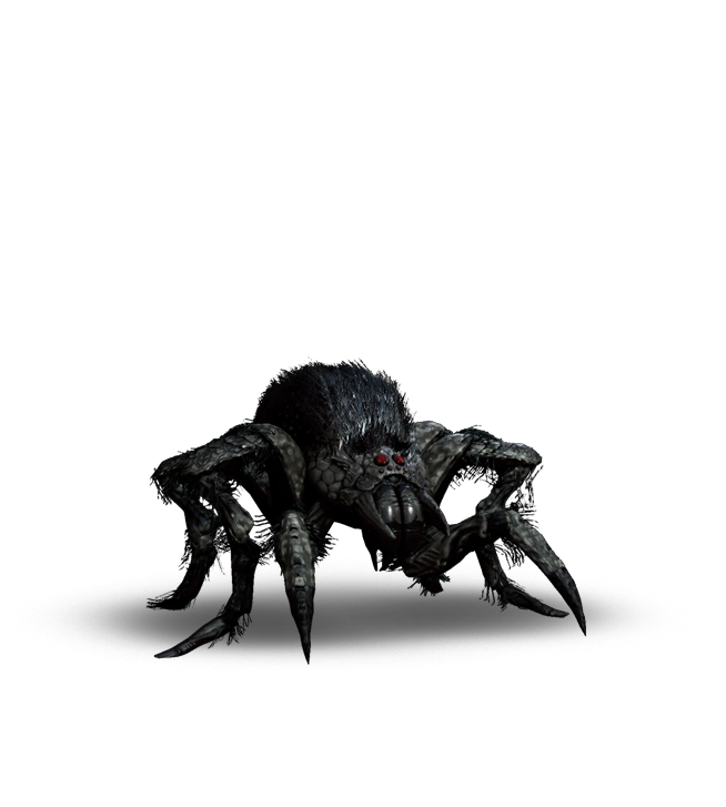 Arachnomorphs