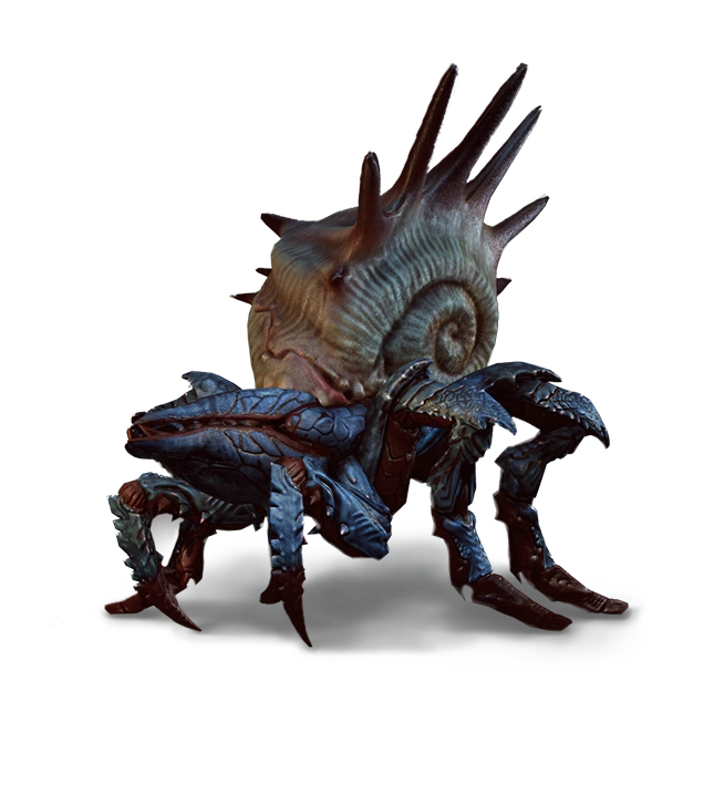 Armored arachas