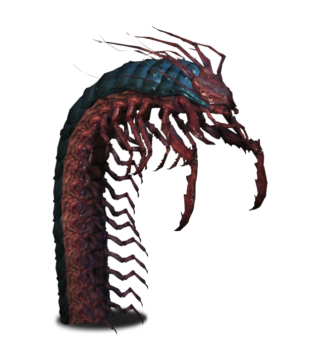 Giant centipede