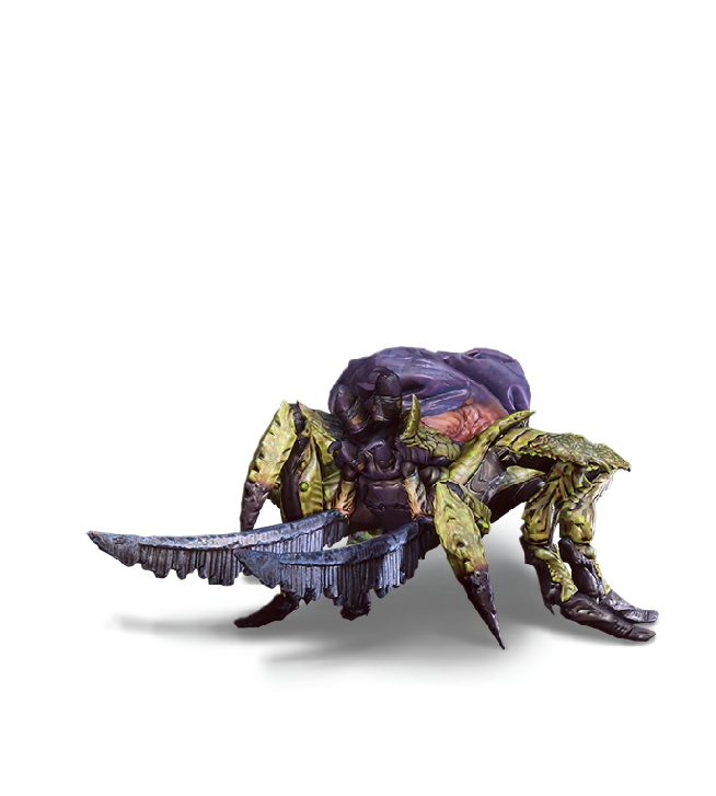 Venomous arachas