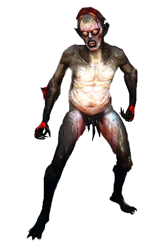 Mucknixer
