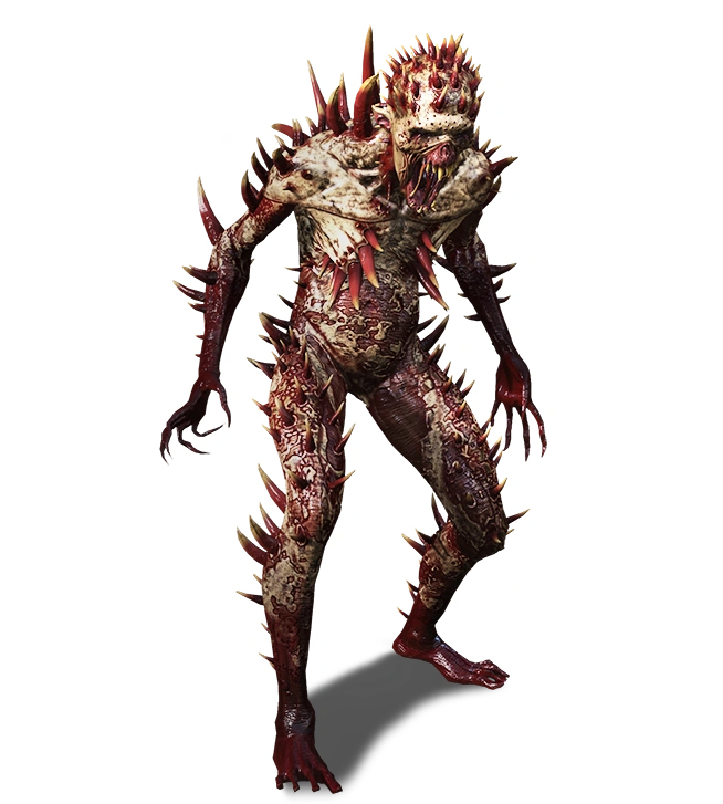 Scurver