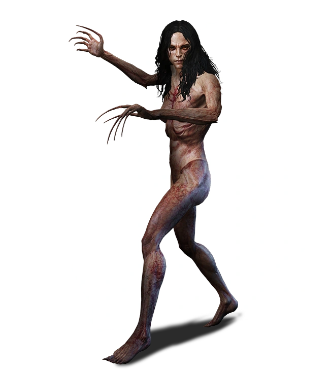 Bruxa