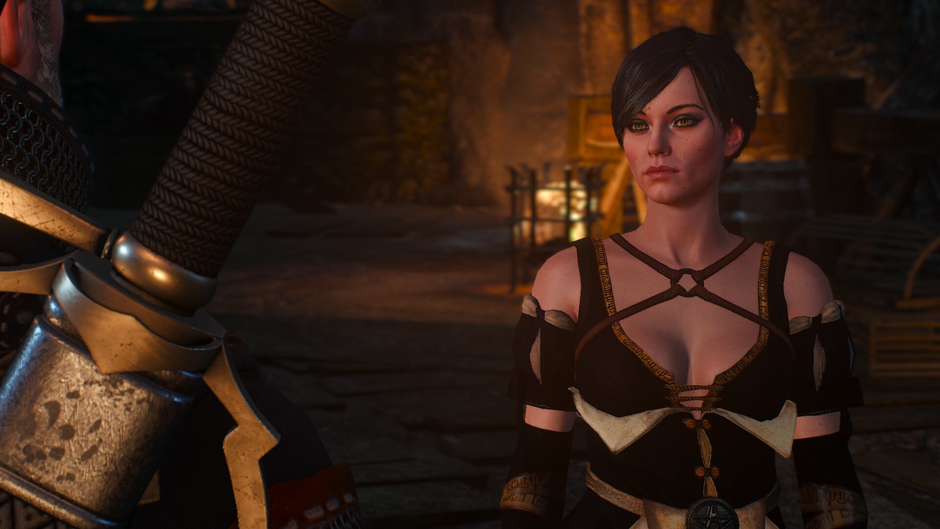 Fringilla Vigo