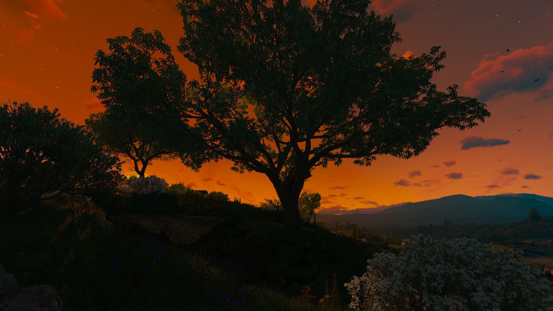 Screenshot eleven placeholder